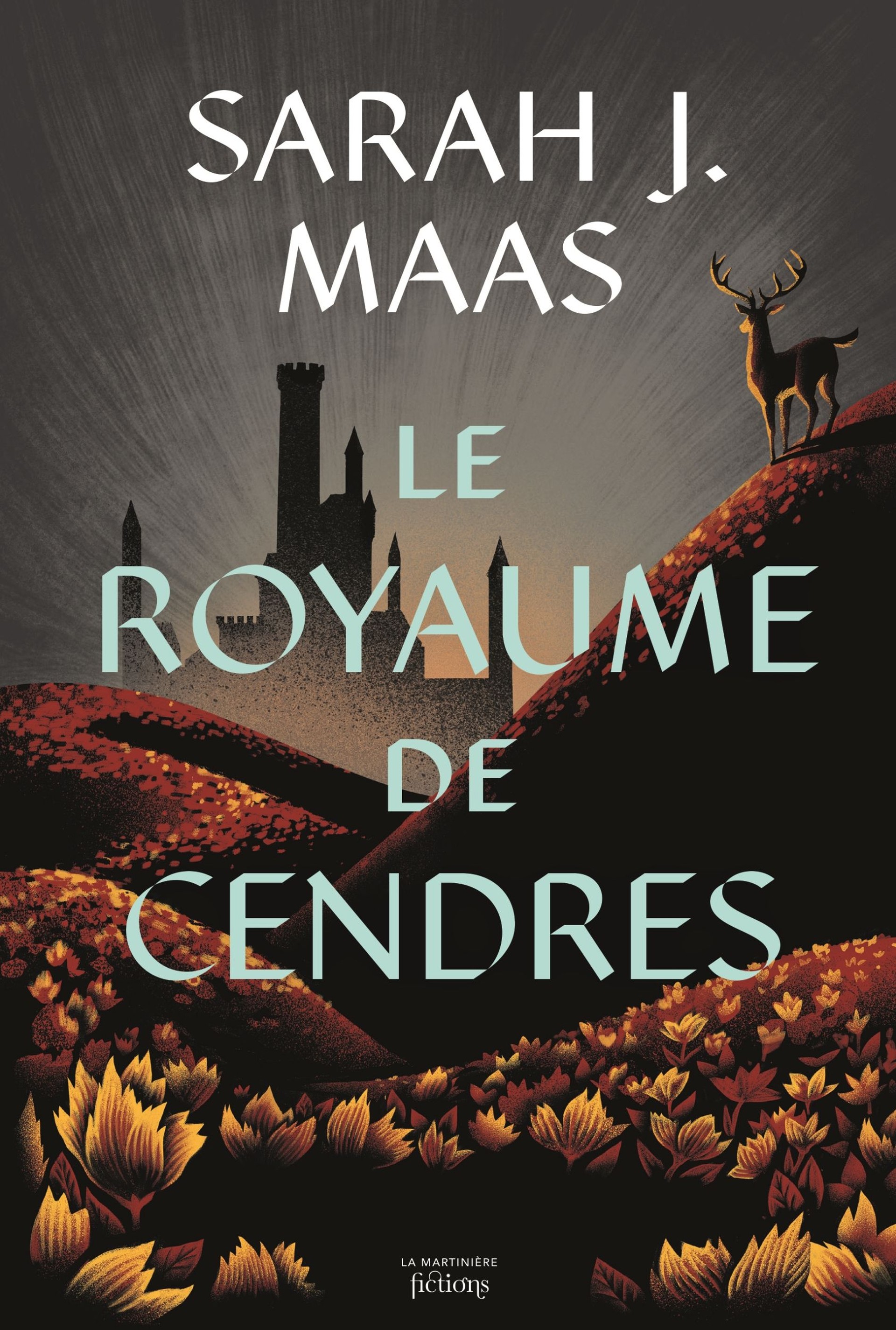 Throne of Glass - Le Royaume de cendres